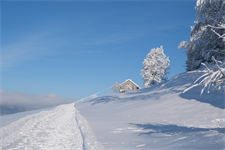 Ferienhütte Oberdorf im Winter